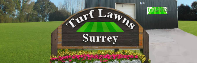 turf suppliers in surrey